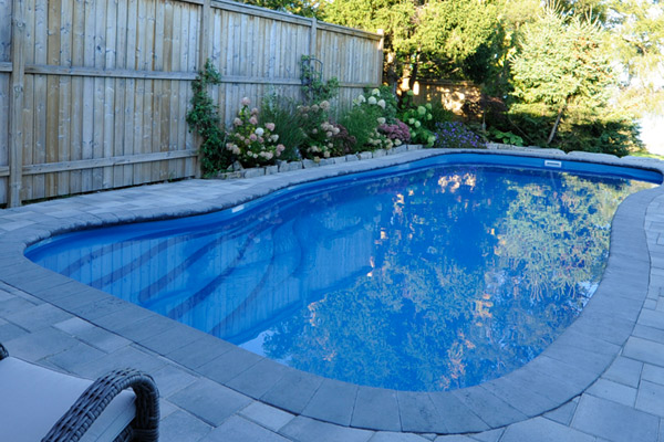 southport-fiberglass-pool-overlooking-in-backyard